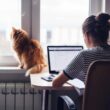Female Working from home