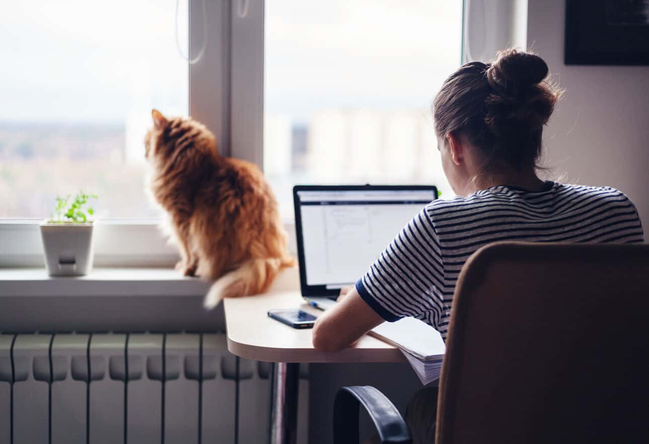 Female Working from home